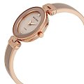Часы Anne Klein Ceramics  1980TPRG фото 2
